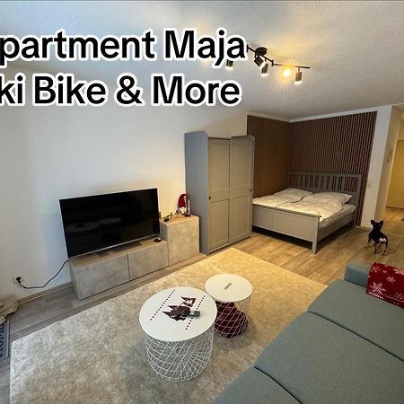 Apartment Maja Unmittelbar An Der Skipiste Βίντερμπεργκ Εξωτερικό φωτογραφία
