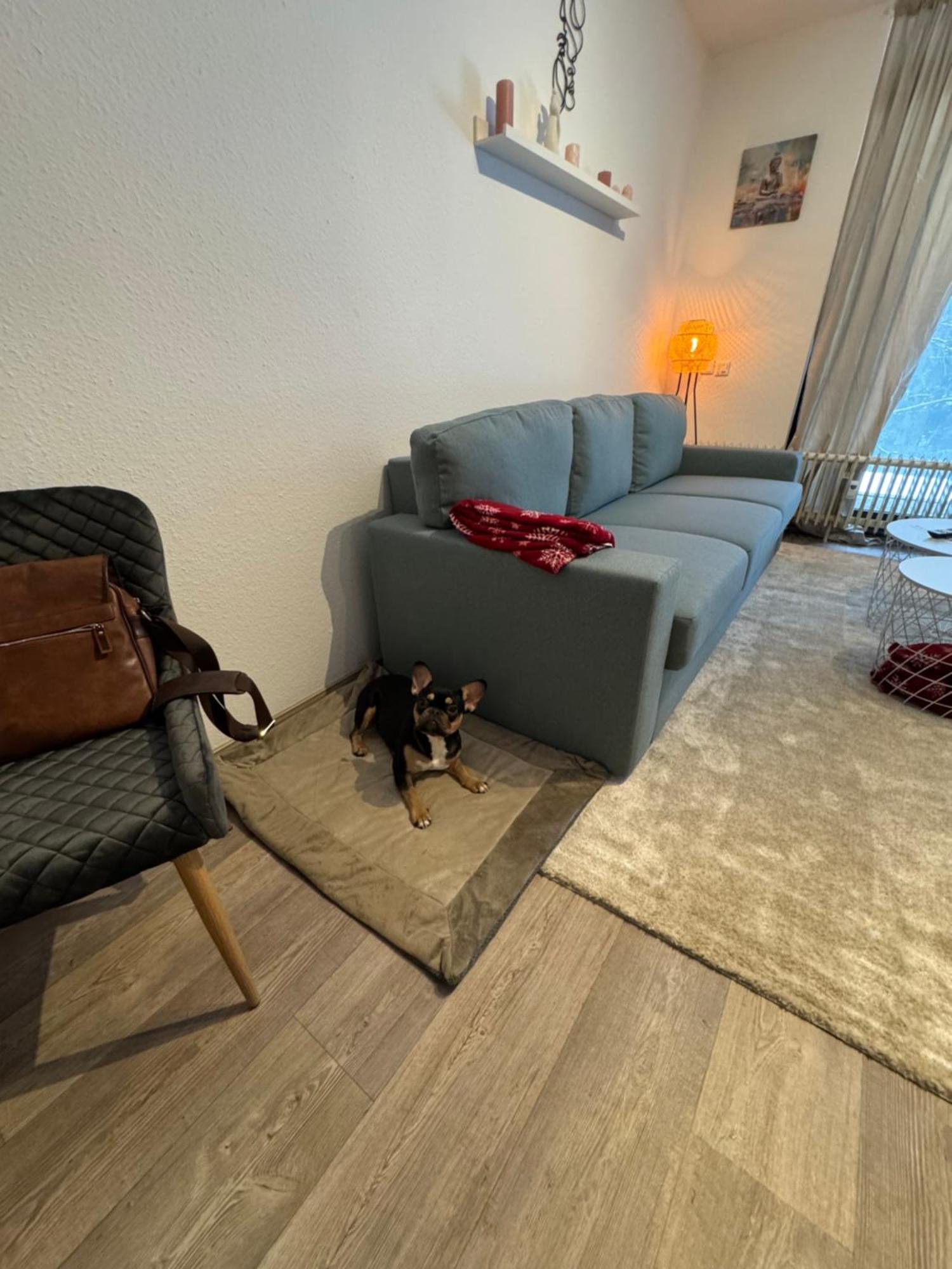 Apartment Maja Unmittelbar An Der Skipiste Βίντερμπεργκ Εξωτερικό φωτογραφία