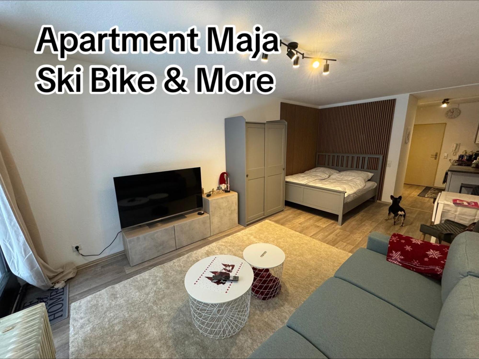 Apartment Maja Unmittelbar An Der Skipiste Βίντερμπεργκ Εξωτερικό φωτογραφία